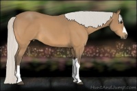 Horse Color:Silver Buckskin 