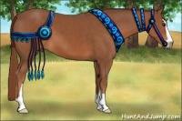 Horse Color:Chestnut Sabino 