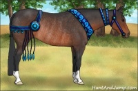 Horse Color:Brown Rabicano 