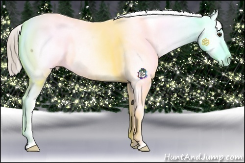 Horse Color:Chocolate Palomino Snowflake Varnish