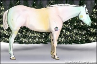 Horse Color:Chocolate Palomino Snowflake Varnish
