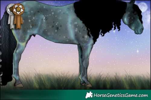 Horse Color:ERROR: UNKNOWN ANOMALY