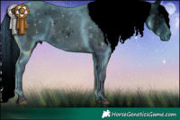 Horse Color:ERROR: UNKNOWN ANOMALY