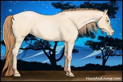 Horse Color:Buckskin Roan Pearl and Buckskin Roan Pearl