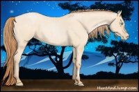 Horse Color:Buckskin Roan Pearl and Buckskin Roan Pearl