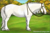 Horse Color:Cremello Dun Tobiano 