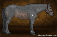 Horse Color:White Spotted Brown Ice Rabicano and Brown Ice Rabicano