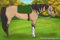 Horse Color:Bay Roan Dun 