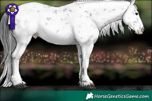 Horse Color:Black Chinchilla Sabino