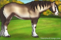 Horse Color:Liver Red Onyx Sabino Splash 