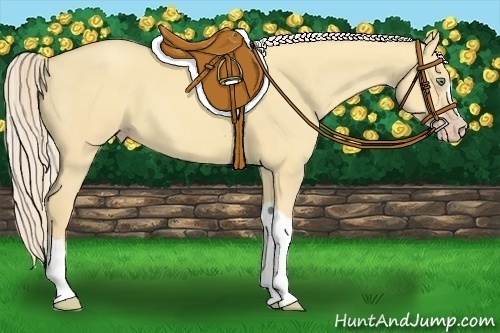 Horse Color:Gold Cream Champagne Dun 