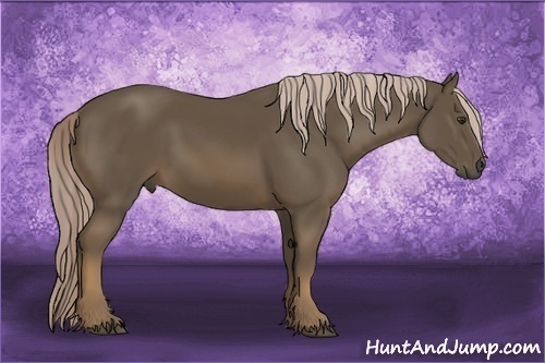 Horse Color:Chocolate Palomino 