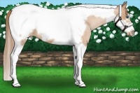 Horse Color:Bay Roan Pearl Tobiano Frame Varnish 