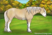 Horse Color:Silver Classic Champagne Sabino 