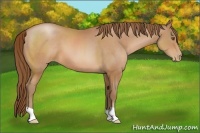 Horse Color:Brown Pearl 