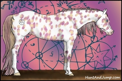 Horse Color:Plaid  Sable Cream Champagne Appaloosa 