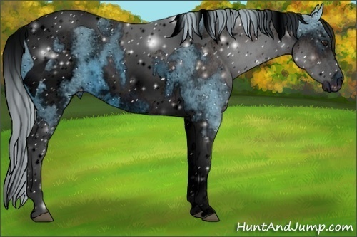 Horse Color:ERROR: UNKNOWN ANOMALY