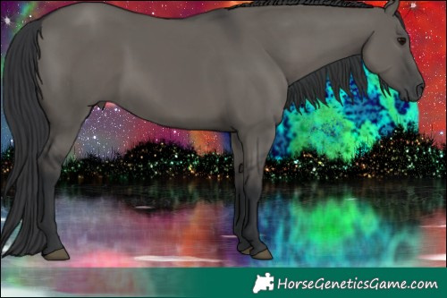 Horse Color:Grullo 