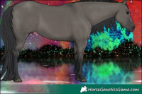Horse Color:Grullo