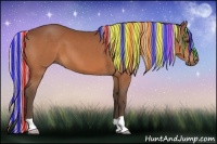 Horse Color:Painted Silver Bay 