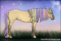 Horse Color:Painted Silver Buckskin Dun 