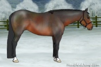 Horse Color:Brown 