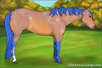 Horse Color:Watercolor Bay 