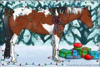 Horse Color:Bay Tobiano 