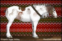 Horse Color:White Spotted Brown Tobiano 