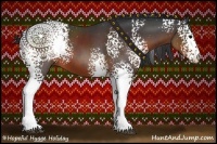 Horse Color:White Spotted Brown 