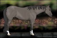 Horse Color:Smoky Grullo 
