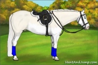 Horse Color:Cremello Roan Dun Splash
