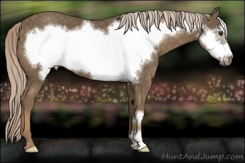 Horse Color:Chocolate Palomino Frame 