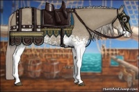 Horse Color:White Spotted Silver Grullo 