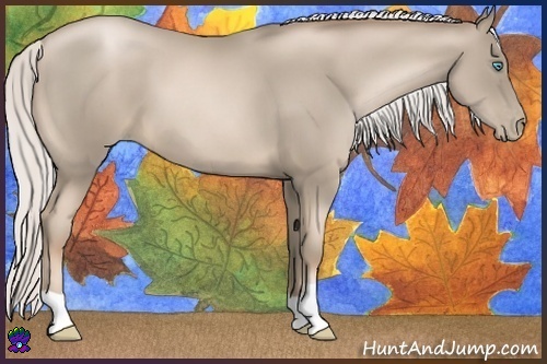 Horse Color:Silver Smoky Black Pearl