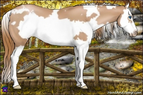 Horse Color:White Spotted Chestnut Pearl Splash Frame 