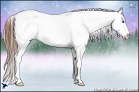 Horse Color:Black Splash Varnish 