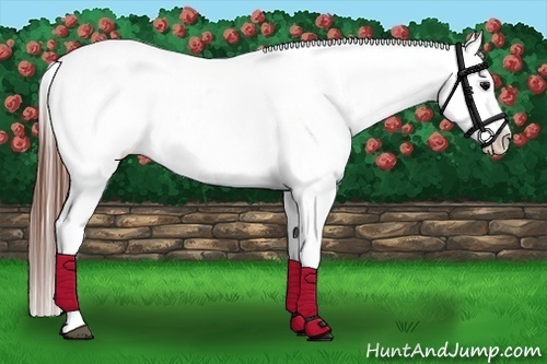 Horse Color:Black Varnish