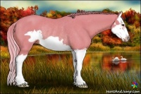 Horse Color:Watercolor Chestnut Splash Frame Rabicano