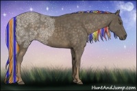 Horse Color:Painted Chocolate Palomino Ice