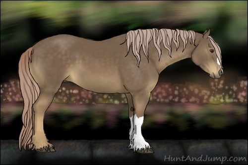 Horse Color:Chocolate Palomino 
