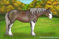 Horse Color:Silver Black Sabino