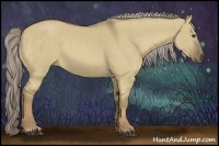 Horse Color:Chocolate Palomino Dun 