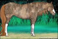 Horse Color:Gold Champagne Ice Rabicano 
