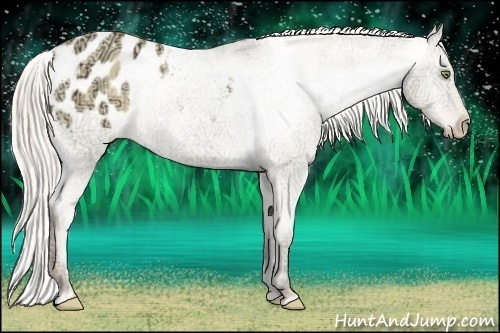 Horse Color:Silver Amber Champagne Ice Dun Varnish Rabicano 