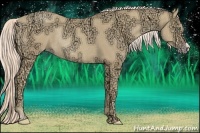 Horse Color:Gold Cream Champagne Ice Rabicano