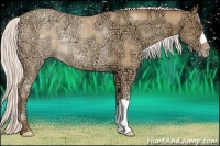 Horse Color:Silver Amber Champagne Ice Rabicano 