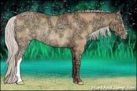 Horse Color:Silver Amber Champagne Ice Rabicano