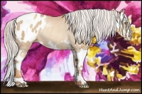 Horse Color:Silver Classic Champagne Splash Appaloosa Rabicano 