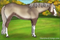 Horse Color:Silver Blue Onyx Splash 